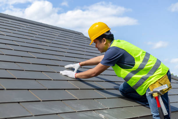 Best Roof Leak Repair  in Wellington, CO