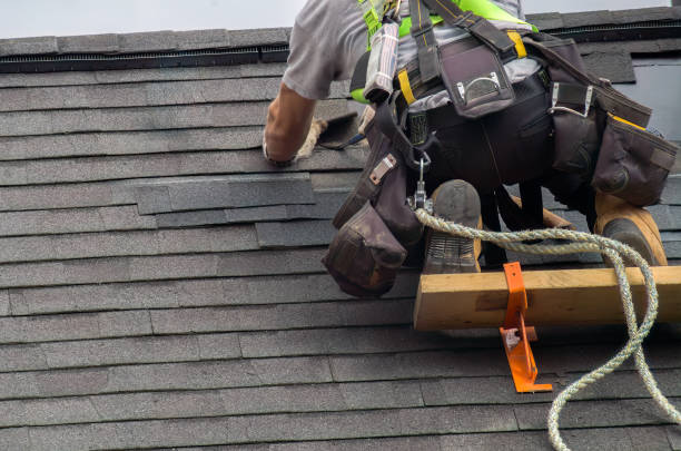 Roof Gutter Cleaning in Wellington, CO